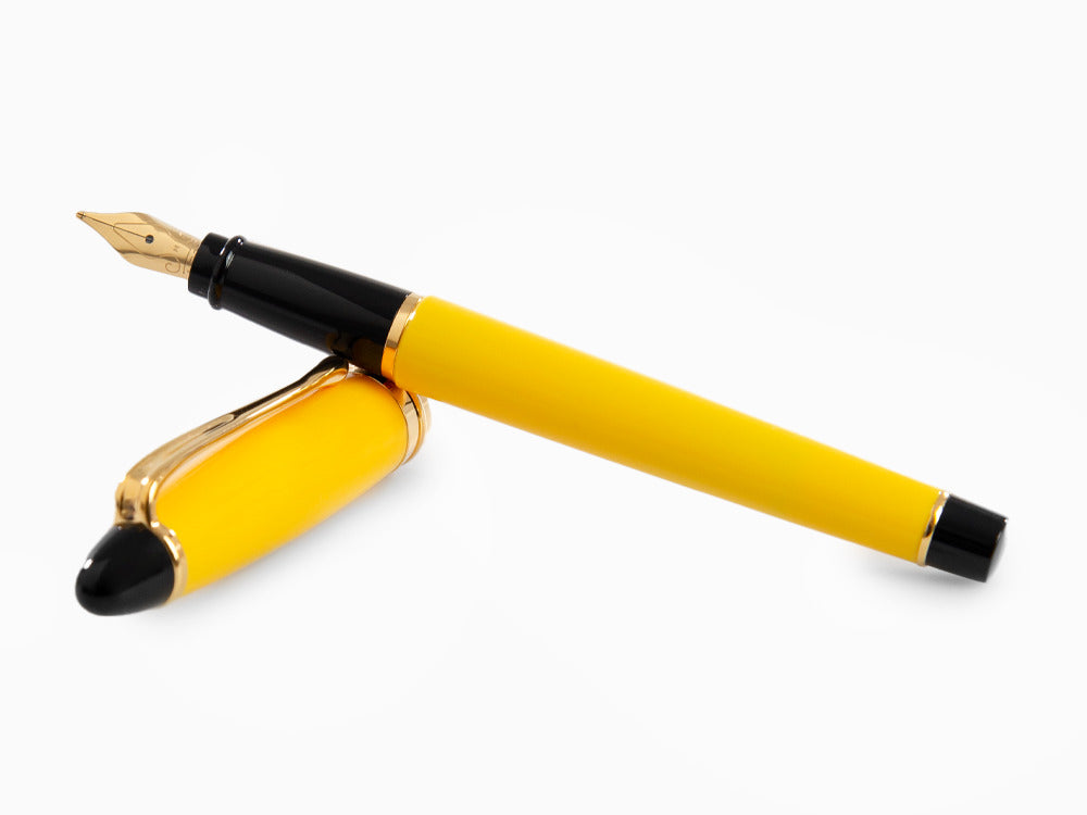 Aurora Ipsilon Füllfederhalter, Edelharz, Vergoldete Beschläge, b11y