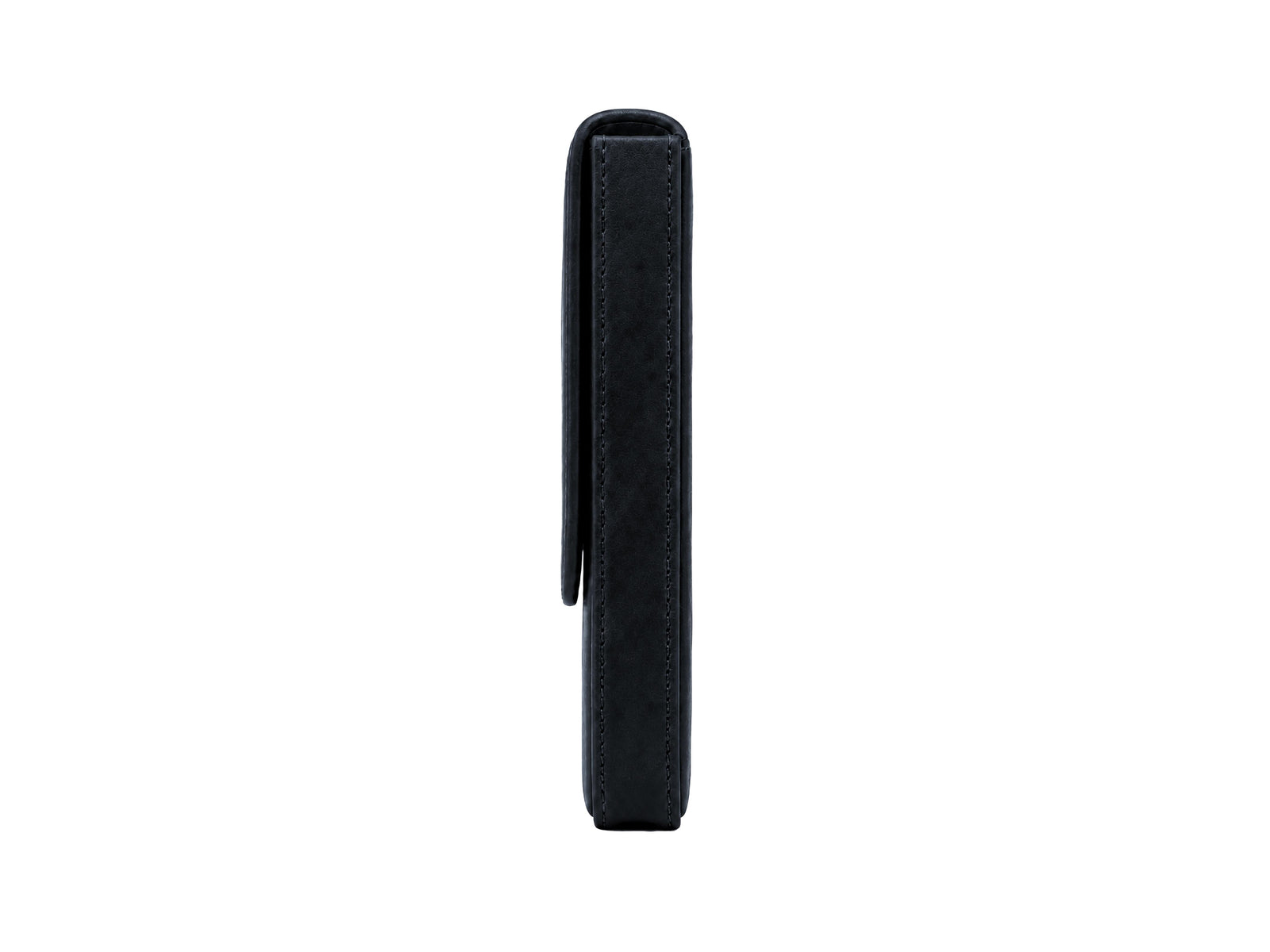 Iguana Stifteetui Schwarz für 3 Schreibaufgaben, PEN-CASE-BLACK-3