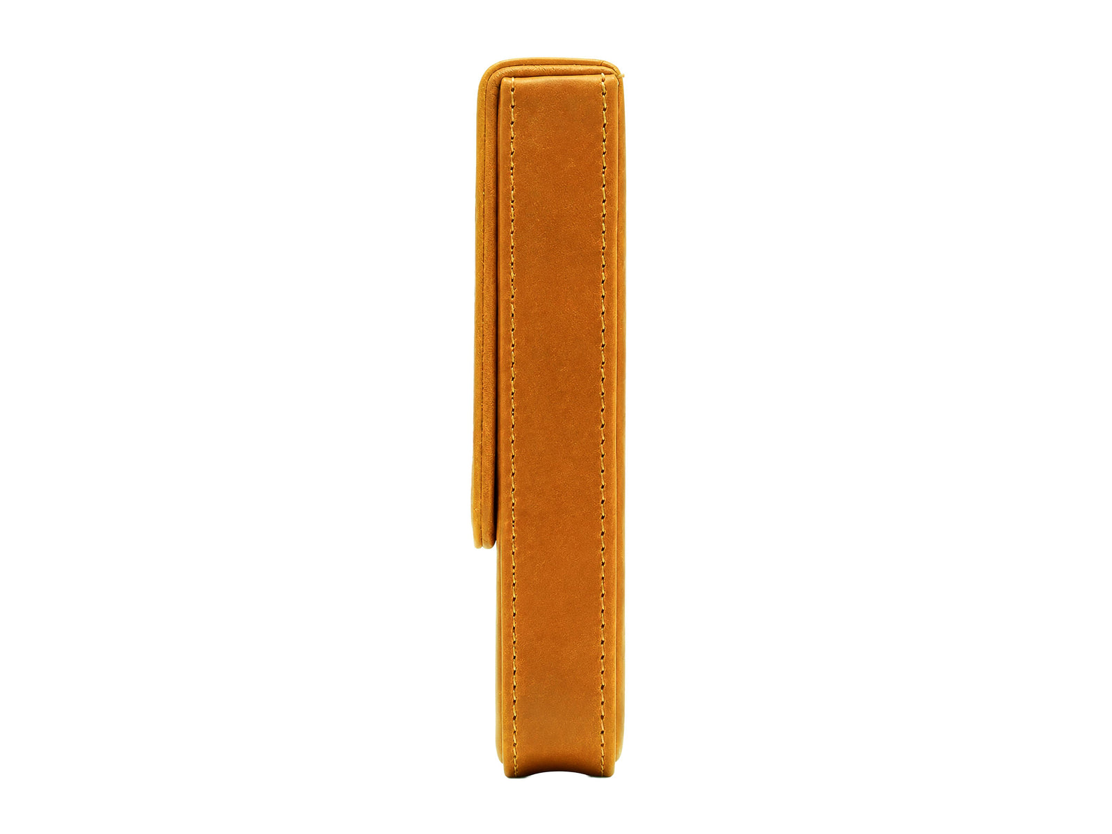 Iguana Stifteetu Camel für 3 Schreibaufgaben, PEN-CASE-CAMEL-3