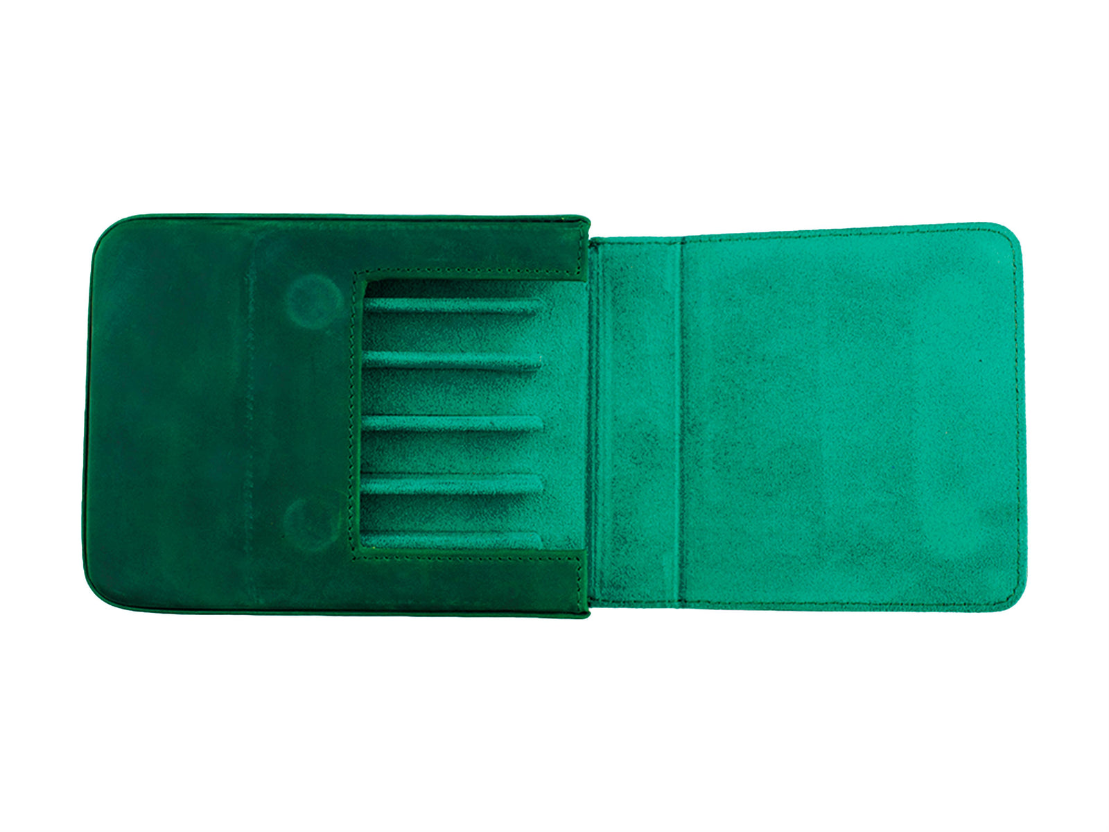 Iguana Stifteetui Grün 6, PEN-CASE-GREEN-6