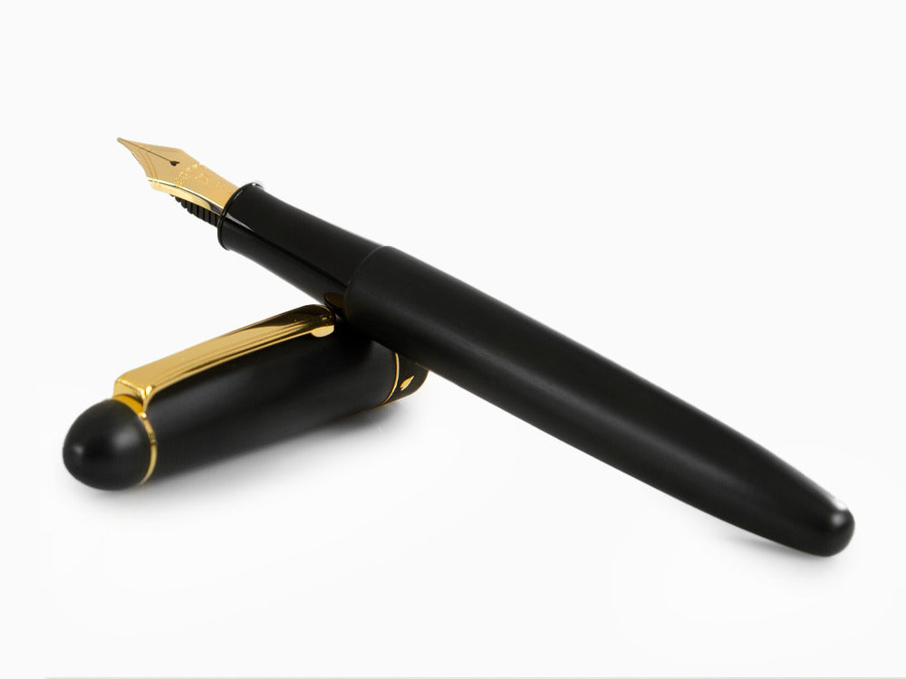 Platinum 3776 Pure Gold Zo-gan Füllfederhalter, Edelharz, PTB-30000Z-96