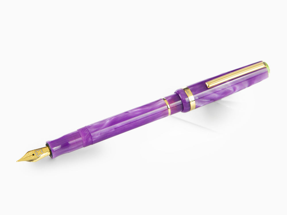 Esterbrook JR Paradise Purple Passion Füllfederhalter, Violett, EJRPP