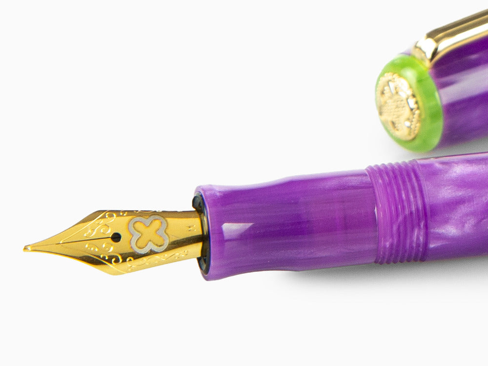 Esterbrook JR Paradise Purple Passion Füllfederhalter, Violett, EJRPP