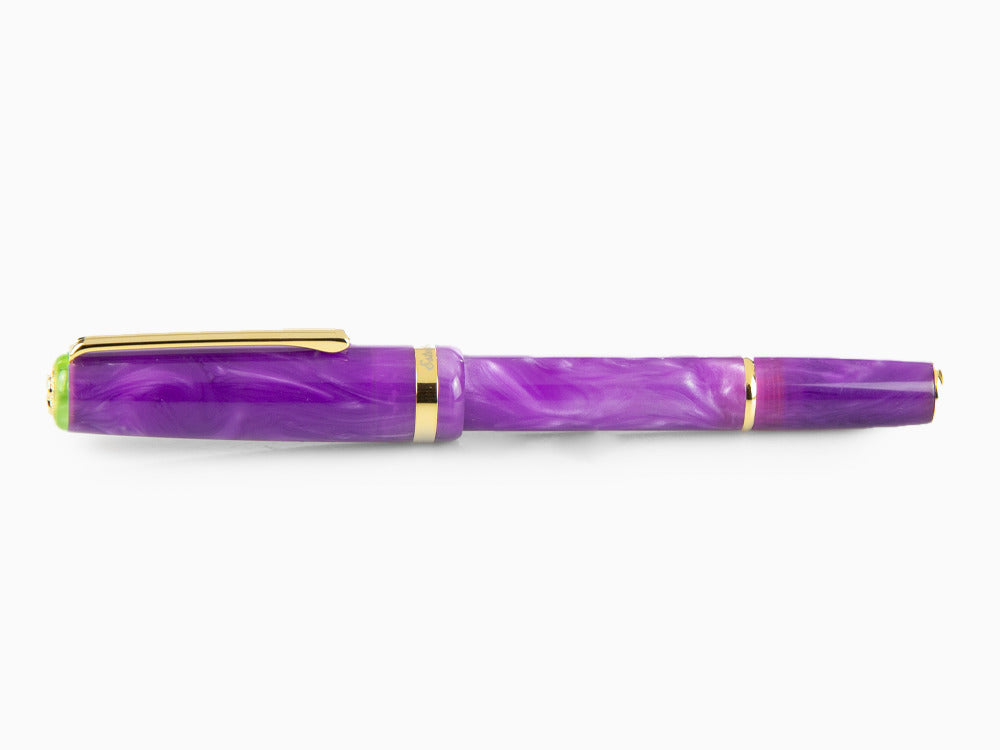 Esterbrook JR Paradise Purple Passion Füllfederhalter, Violett, EJRPP