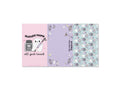 Esterbrook Pastel Halloween Blotter Papers, Sonderausgabe