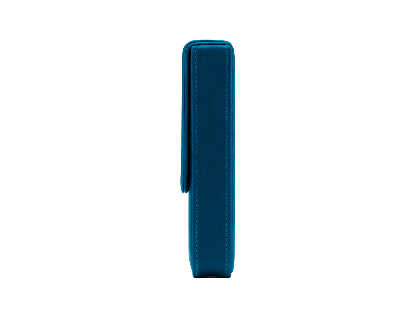 Iguana Stifteetui Blau für 3 Schreibaufgaben, PEN-CASE-BLUE-3