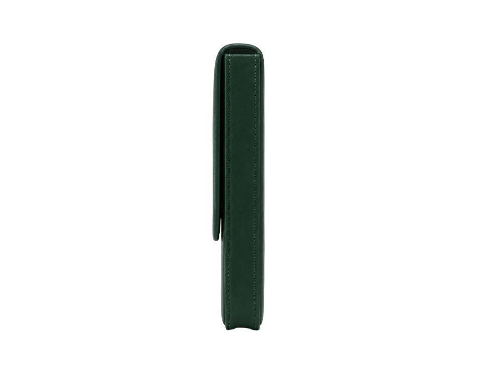 Iguana Stifteetui Grün für 3 Schreibaufgaben, PEN-CASE-GREEN-3