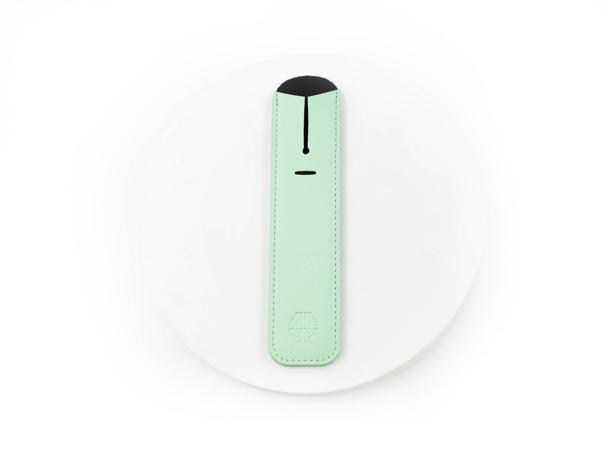 Iguana Schreibetui Mint Green