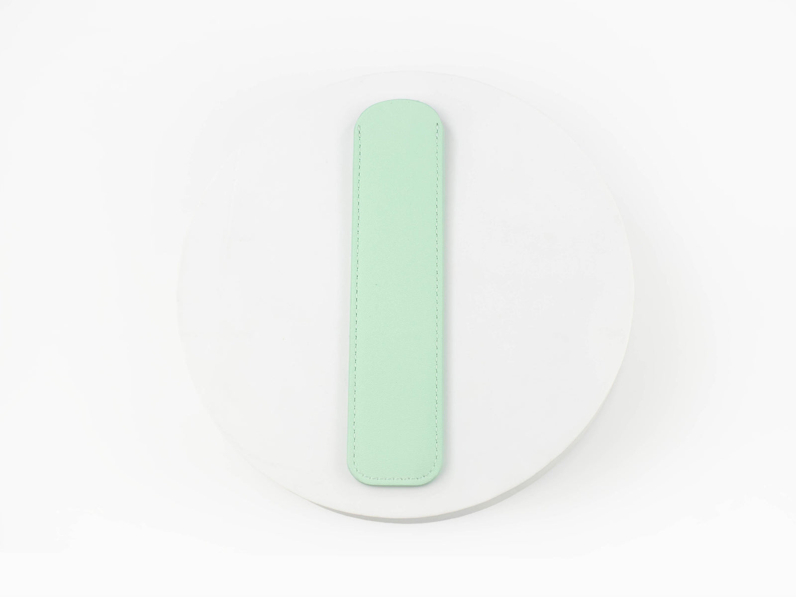 Iguana Schreibetui Mint Green