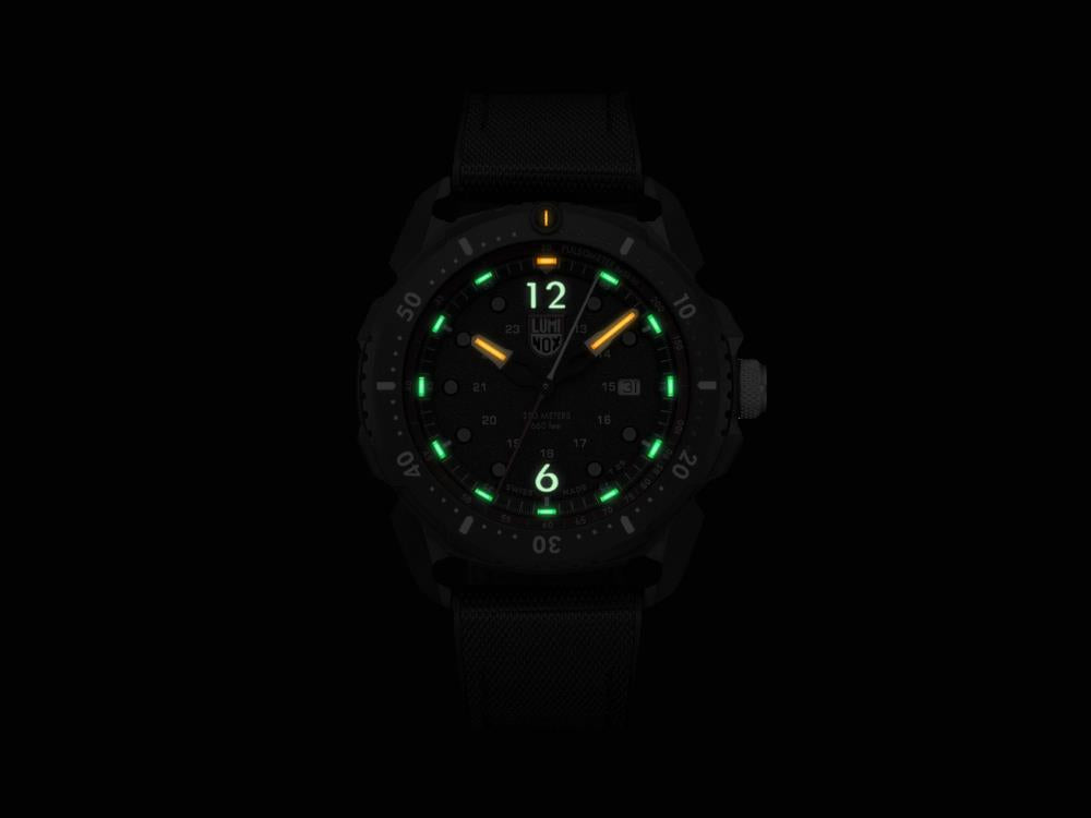 Ice sar deals 1200