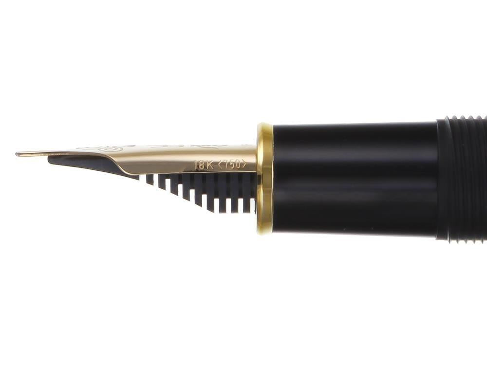 Platinum Izumo Bamboo Torafu Füllfederhalter, Braun, PBA-120000Y-10