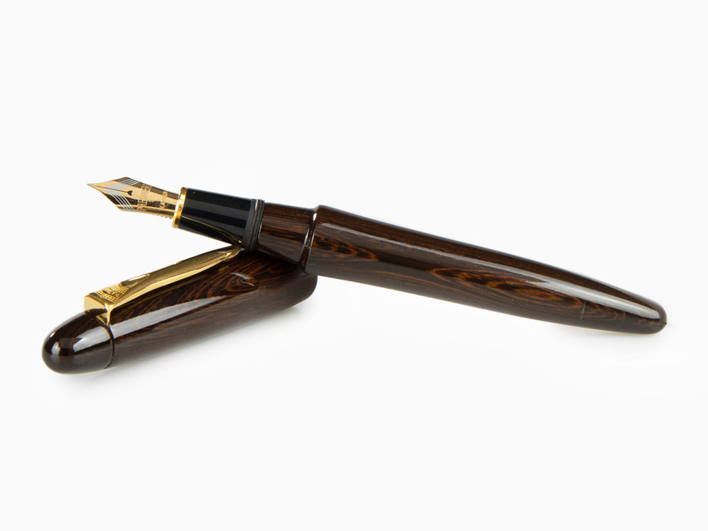 Platinum Izumo Füllfederhalter, Braun, Tagayasan Holz, PIZ-50000T-21