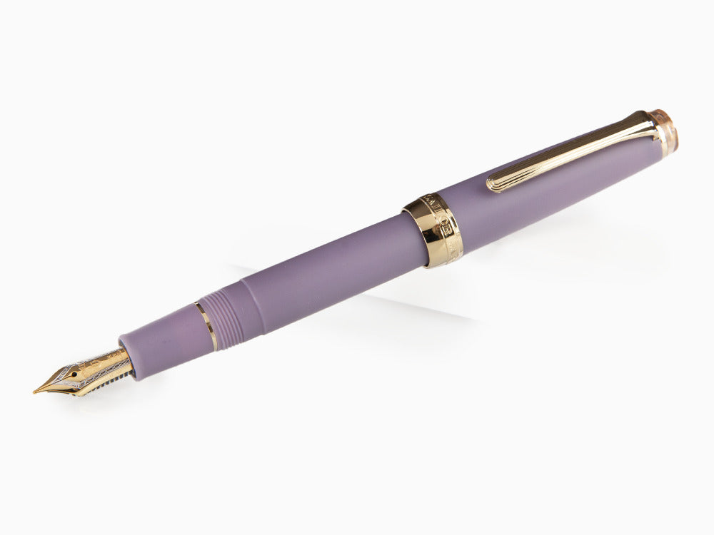 Sailor PG Slim Shikiori Amaoto Drizzle Füllfederhalter, 11-3059-303