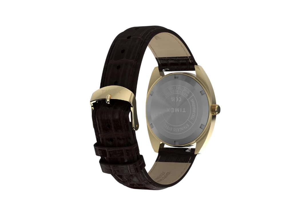 Timex Lab Reissue 1976 Quartz Uhr, PVD Gold, Schwarz, 37 mm, TW2Y82100