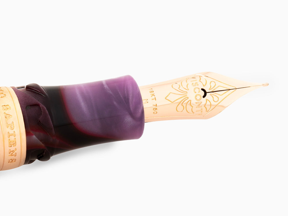 Visconti HS Iris Garden Füllfederhalter, Limitierte Edition, KP15-41-FP