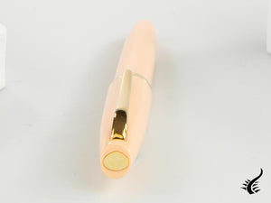 Aurora Style Füllfederhalter, Vergoldete Beschläge, E12QR